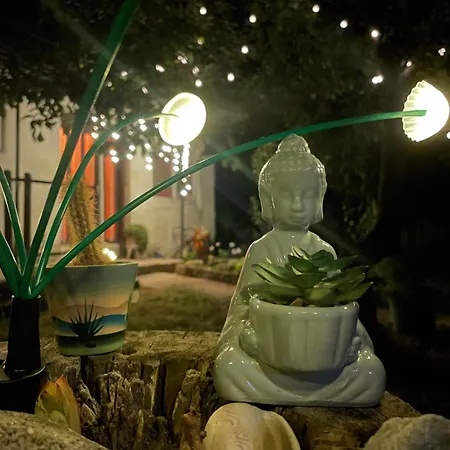 The Ozorian & Glamping Hostal *