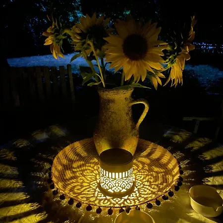 Хостел The Ozorian *