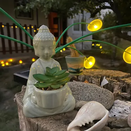 Хостел The Ozorian *