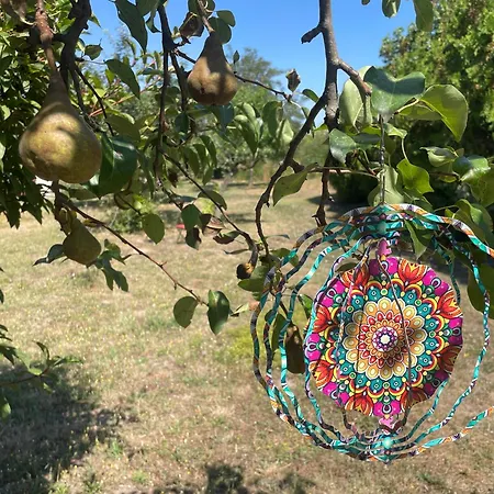 The Ozorian & Glamping *