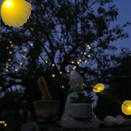 The Ozorian & Glamping Ozora