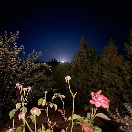 The Ozorian Хостел *