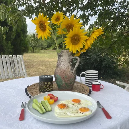Hostal The Ozorian & Glamping