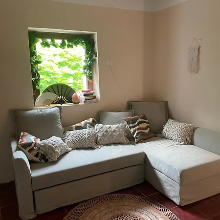 The Ozorian & Glamping Hostel
