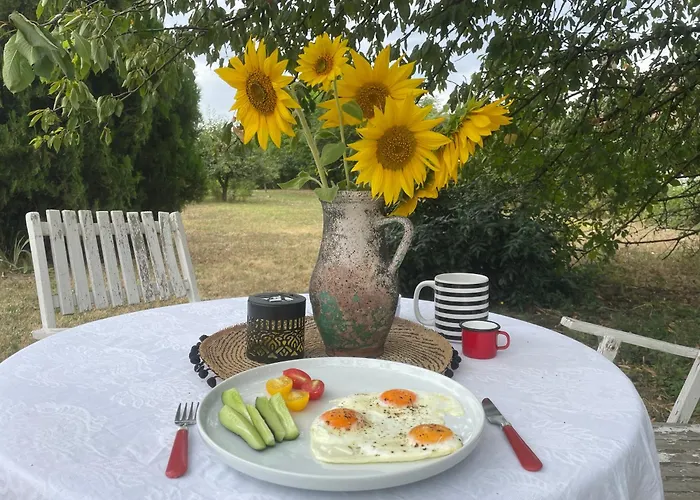 Albergue The Ozorian